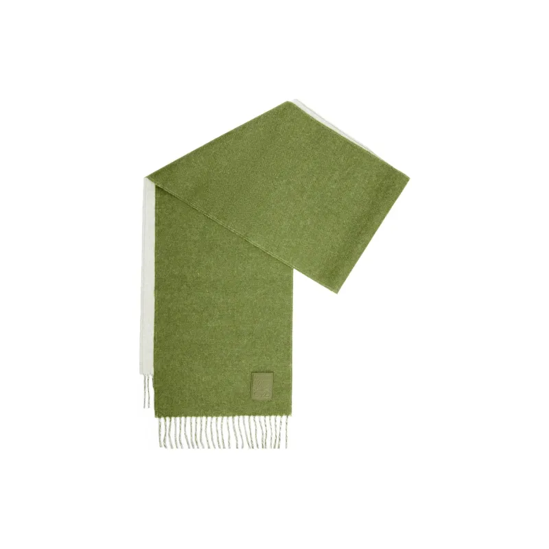 LOEWE Logo Scarf-0