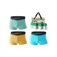 3 Pack (Gray Green+Yellow+Blue)