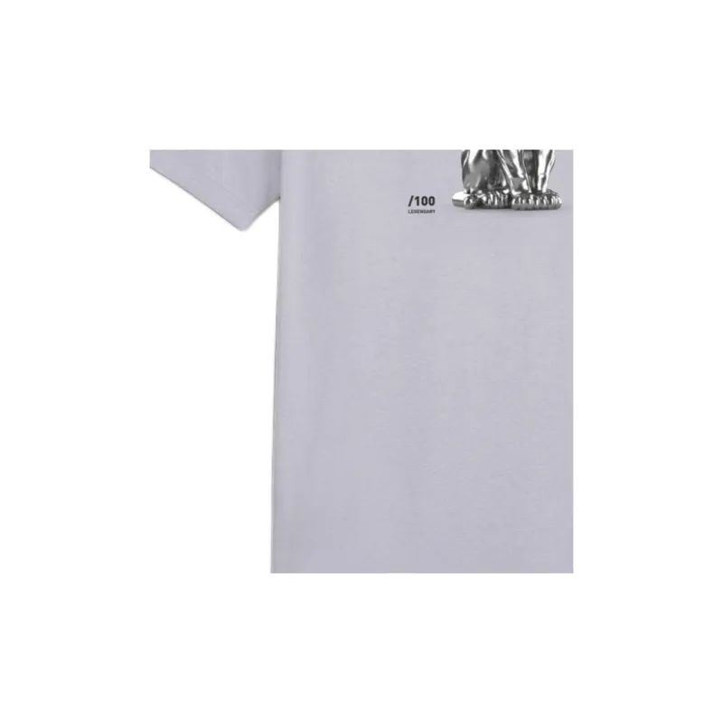 PUMA EVOSTRIPE T-Shirt Men's Gray-5
