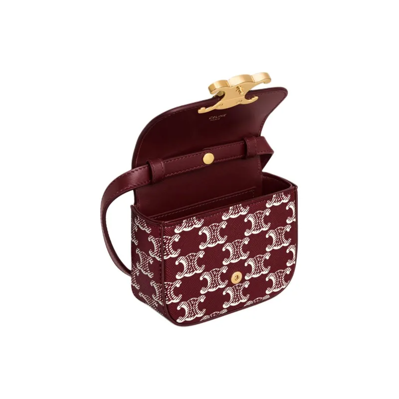 CELINE Canvas With Calfskin Shoulder Bag, Crossbody Bag Mini Women's Light Burgundy-3