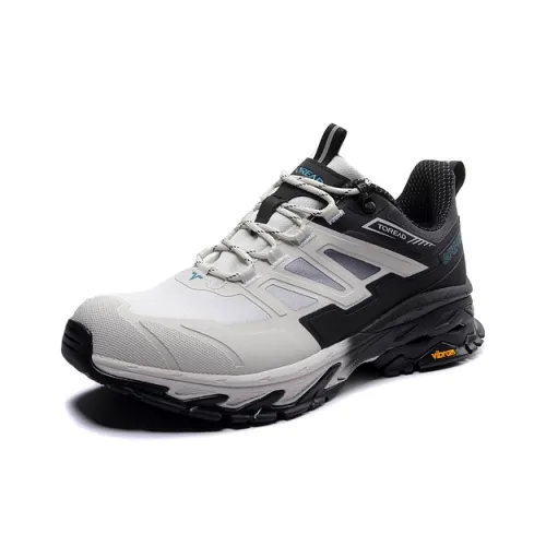 TOREAD Anti Slip Wear Resistant Low Top Trekking Shoes Men's Gray Black