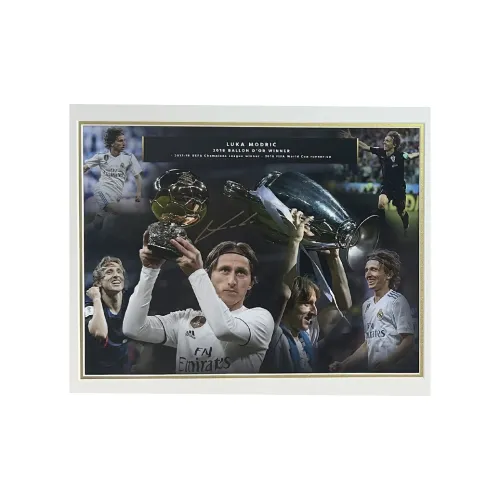 ICONS.com Jersey With Official Certificate, Not Framed, Collectors Edition Unisex