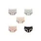 Grass Purple+Teal+Skin+Light Pink+Black-5 Pack