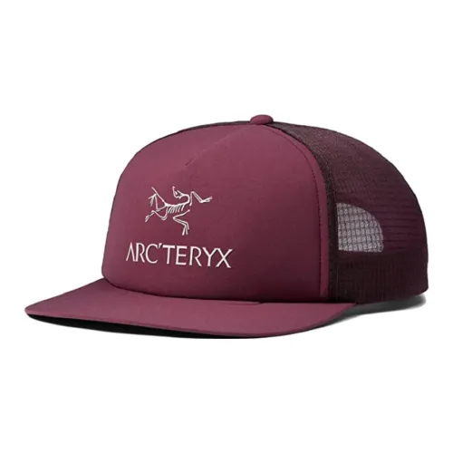 Arcteryx Logo Flat Brim Trucker Hat Purple