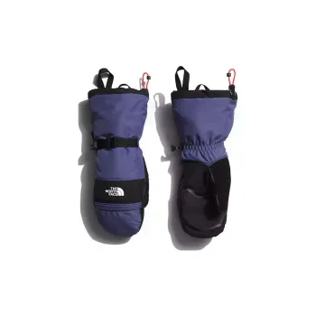 The North Face Purple Gloves on Sale & Authentic - POIZON