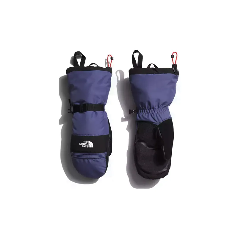 THE NORTH FACE Gloves Men's Purple-0
