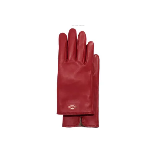 COACH Gloves Women's