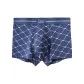 Classic Mesh Print