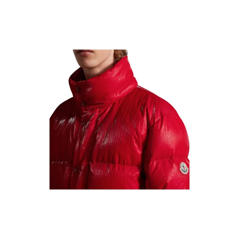 Moncler FW22 Down Jacket Men's Red-4