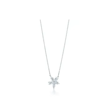 TIFFANY & CO. Necklaces Women's Silver