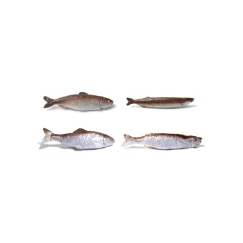 Crafts Women's Resin Hair Accessories Women's