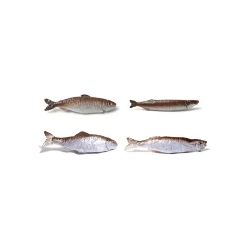 Crafts Women's Resin Hair Accessories Women's