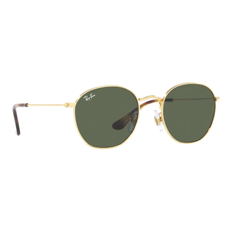 RayBan Rob Irregular Frame Sunglasses-1