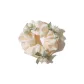 Three Clusters of Lily of The Valley