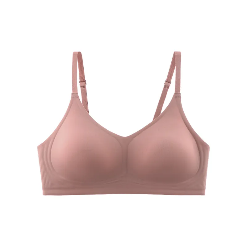 Lanza Women's Bras-3
