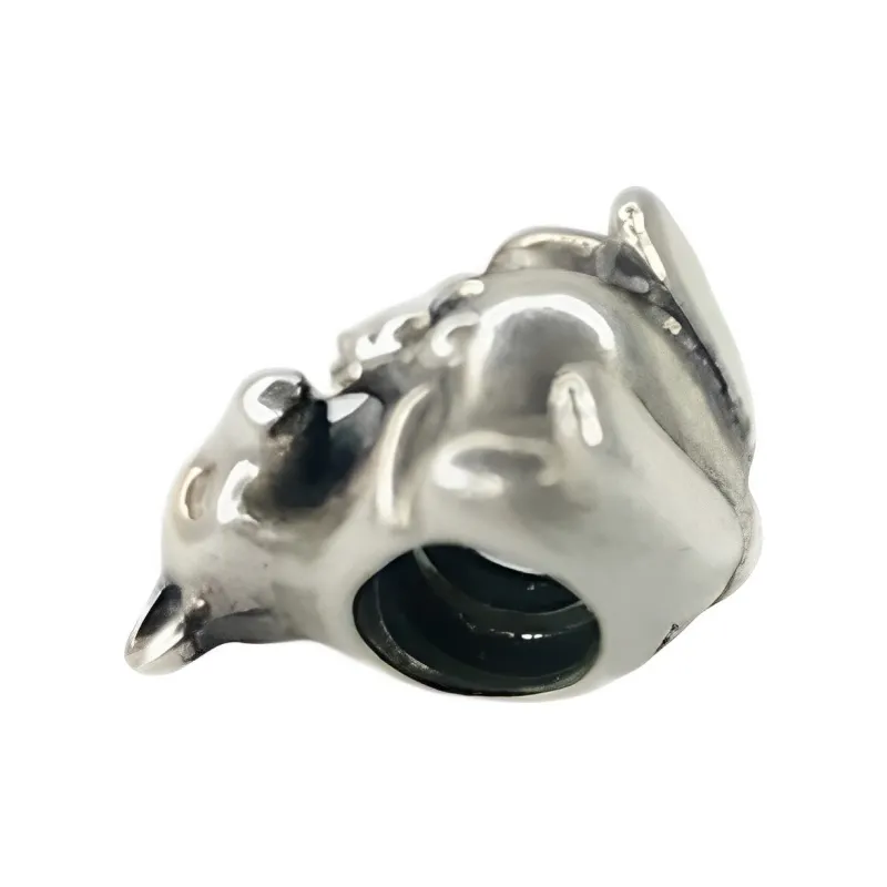 Pandora Charms / Pendants Unisex Silver-2