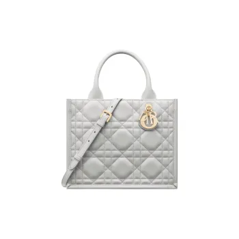 DIOR BookTote Calfskin Tote Bag Shopping Bag Shoulder Bag Crossbody Bag Handbag Small Size Women's Misty