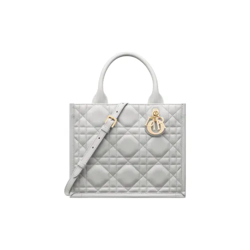 DIOR BookTote Handbags