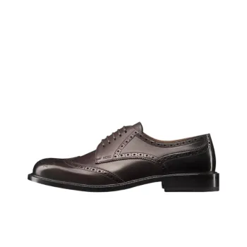 DIOR Embassy Dress Shoes Men's Brown