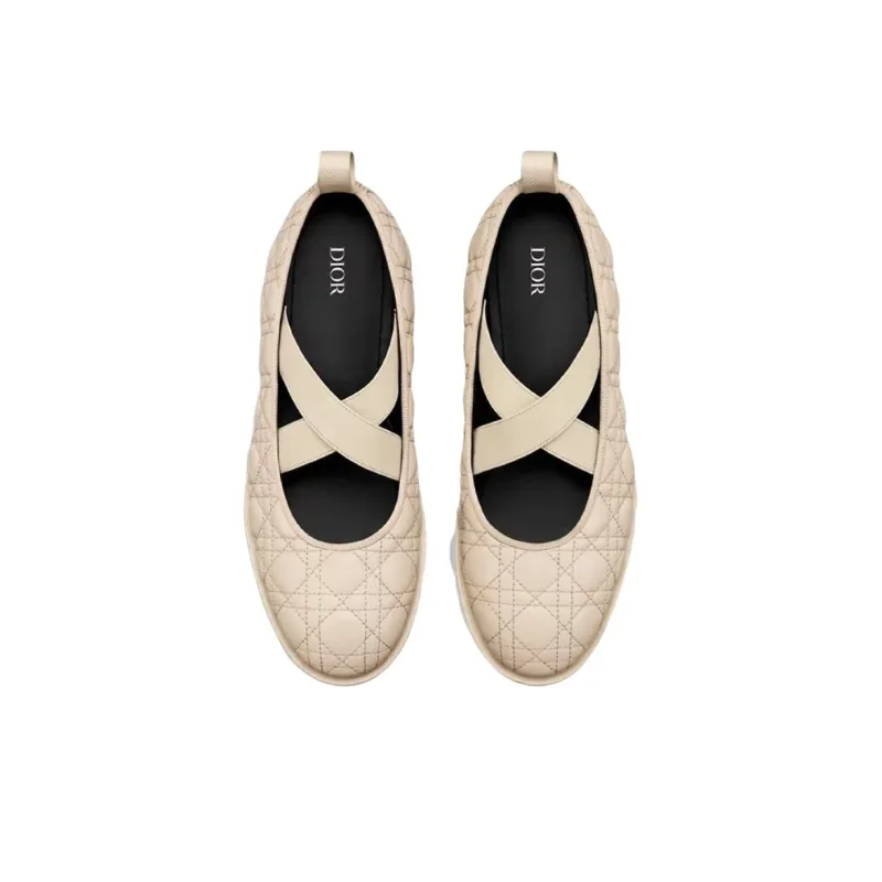 DIOR Tendu Flat Mary Jane Shoes Men's Beige-3