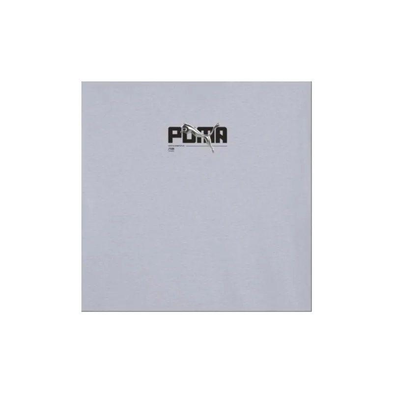 PUMA EVOSTRIPE T-Shirt Men's Gray-2