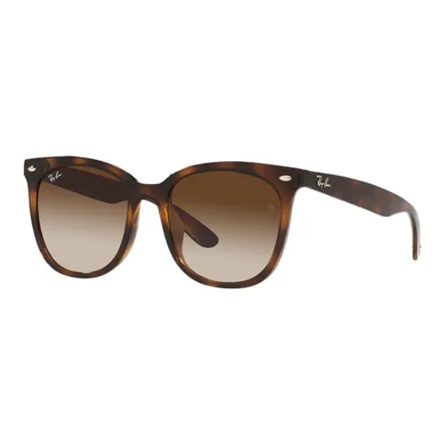 RayBan Sunglasses Unisex Tea Brown