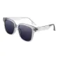 Transparent Gray | Gradient Gray-C02