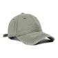Gray Green