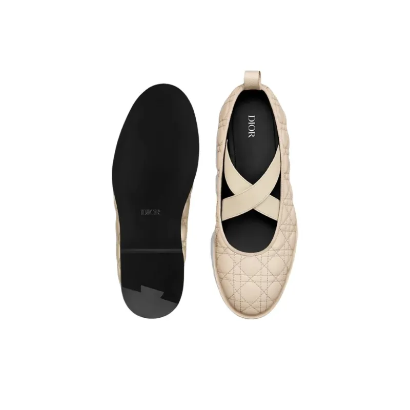 DIOR Tendu Flat Mary Jane Shoes Men's Beige-4