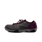 Gray Purple