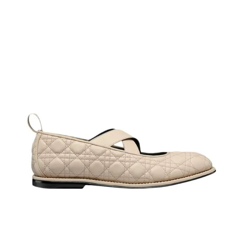 DIOR Tendu Flat Mary Jane Shoes Men's Beige-1