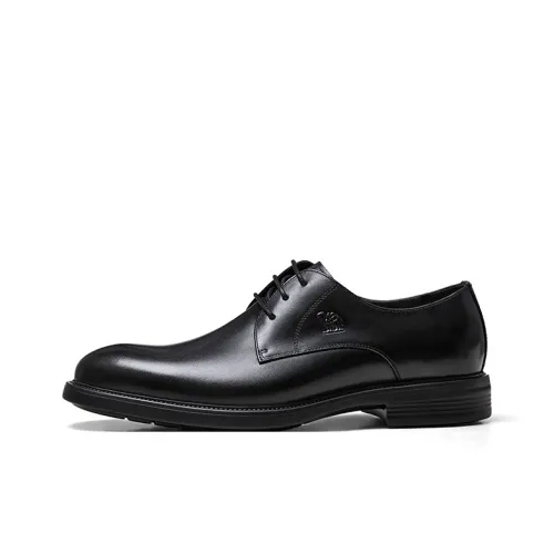 CAMEL Dress Shoes Men Low-Top
