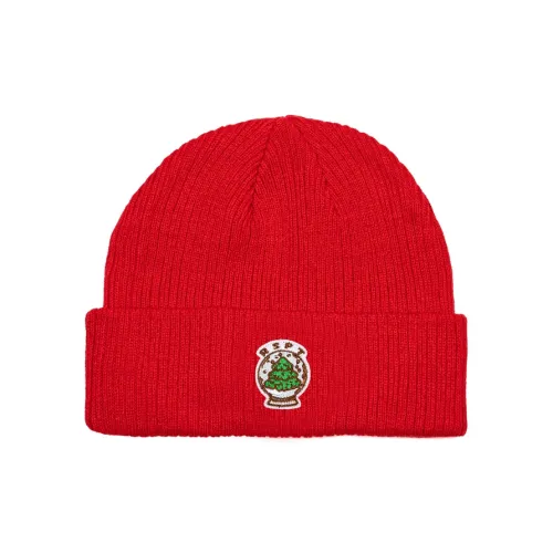 RSPT Beanies Unisex