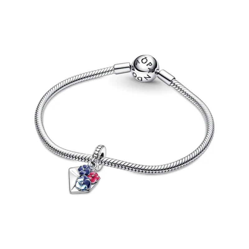Pandora MOMENTS Charms Women's Silver-4