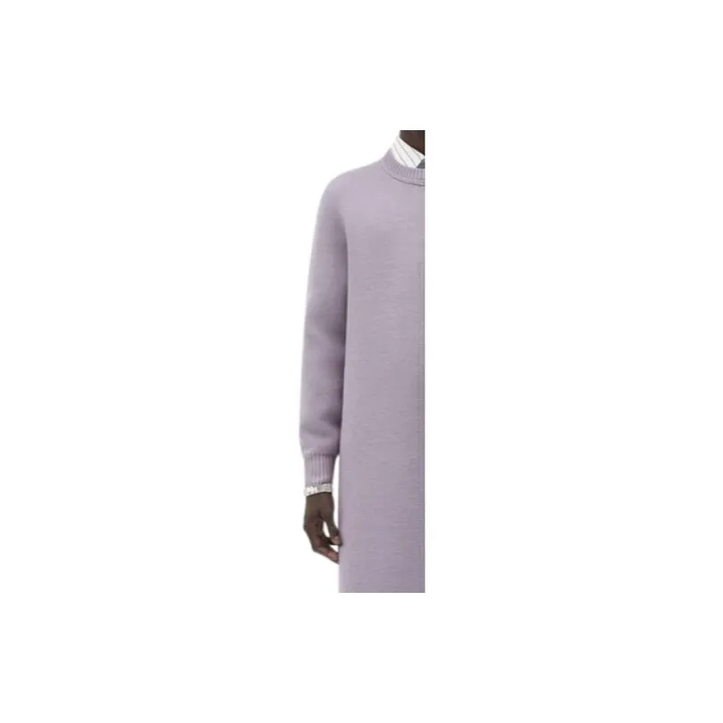Bottega Veneta Sweaters Men Purple-4
