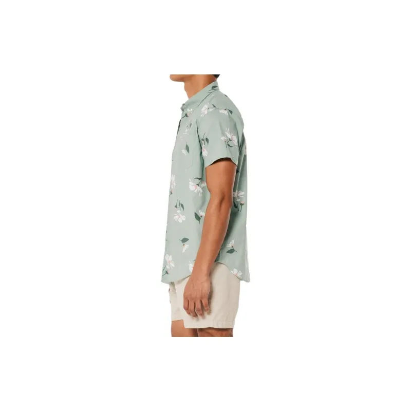 Hollister Shirts Men-8