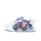 White-Mountains and Seas Eagle-ZLA2149D