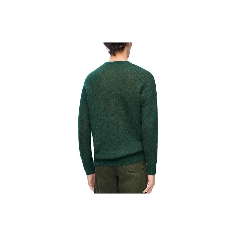 LOEWE Sweaters Men Green-3
