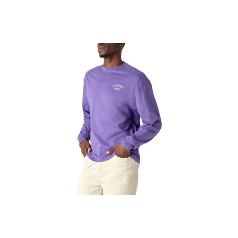 Dickies Sweatshirts Men Purple-4