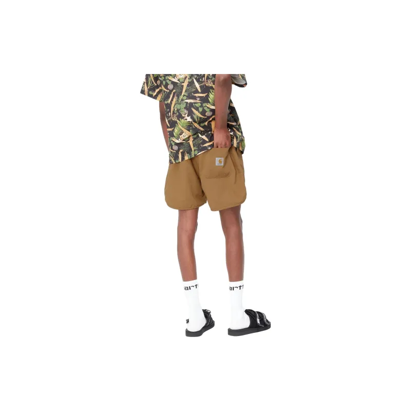 Carhartt WIP Casual Shorts Men Brown-3