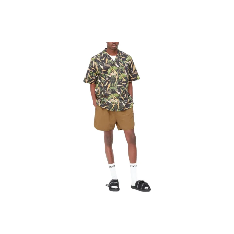 Carhartt WIP Casual Shorts Men Brown-5