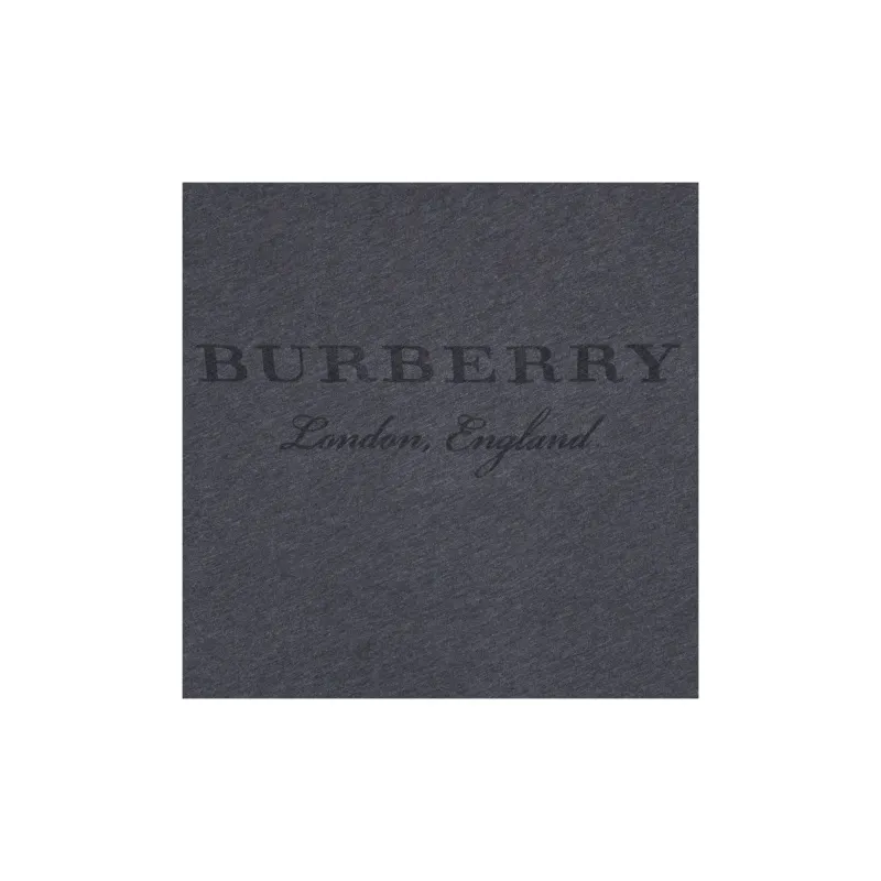 Burberry Regular T Shirt Men's Medium Gray-3