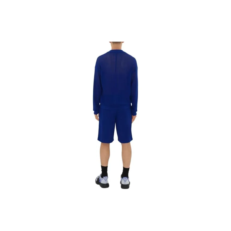 Burberry Silk Cotton Mesh Shorts Casual Shorts Men's Blue-3