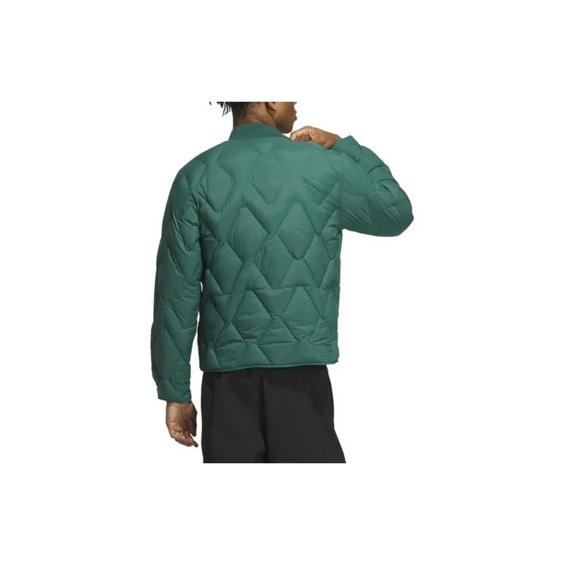 Adidas Down Jackets Men's Green-2