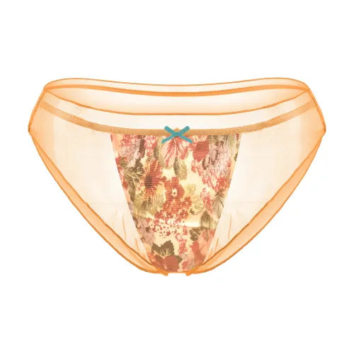 ANVINAL Women's Underpants