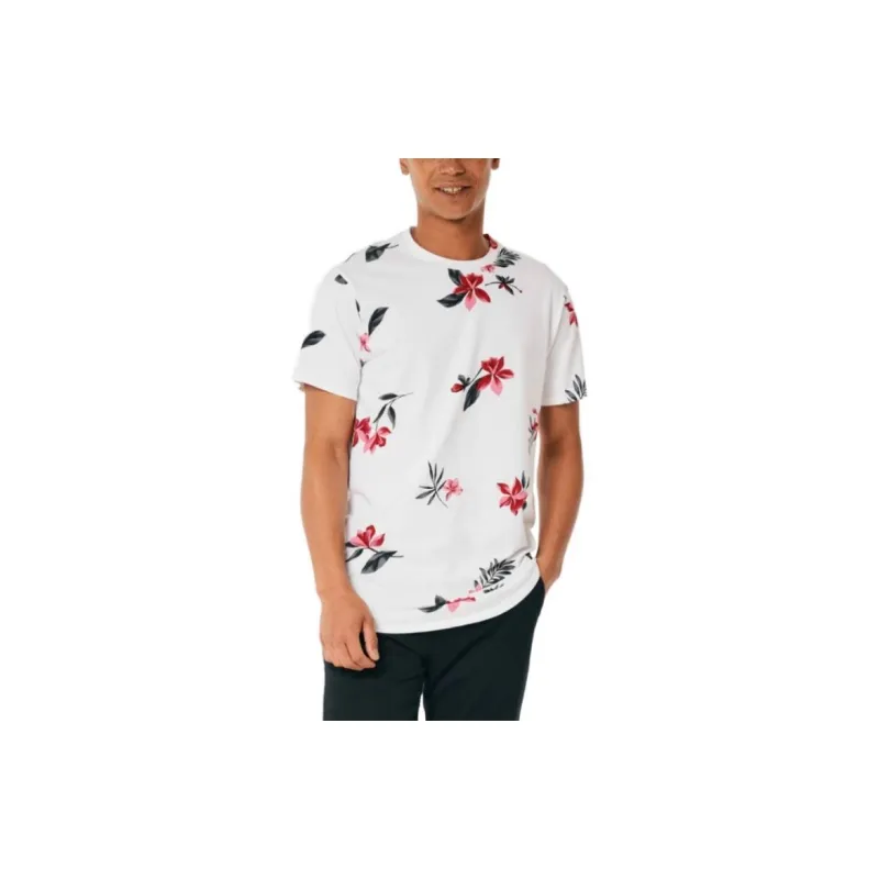 Hollister T-Shirts Men-5