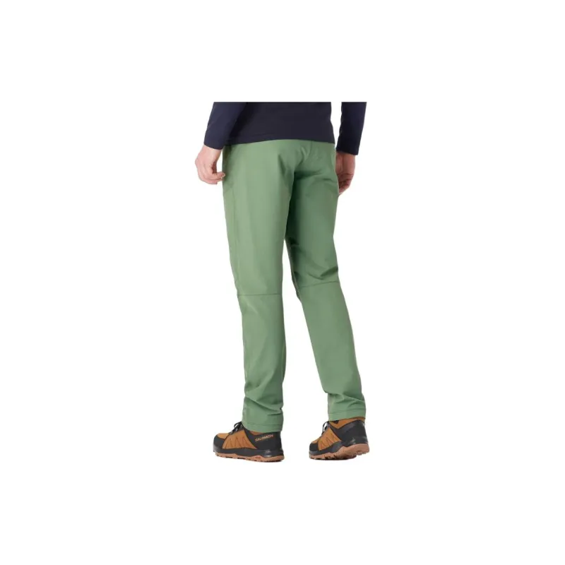 SALOMON WAYFARER Cargo Pants Men's Green-1