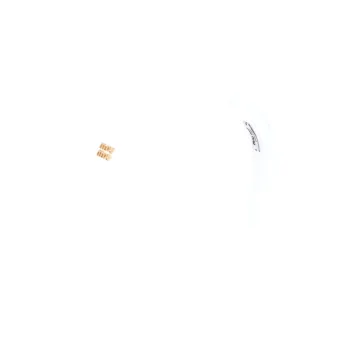MIU MIU Headbands Women's White