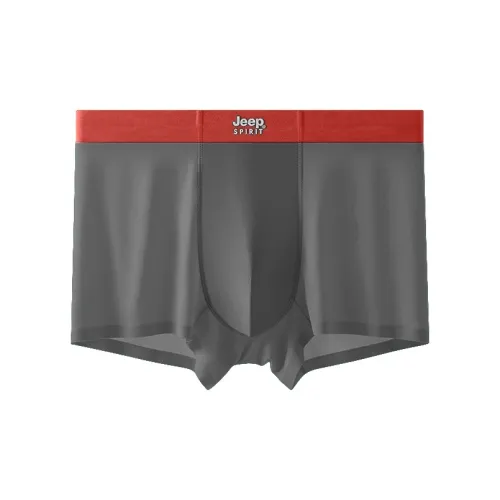 JEEP SPIRIT Men Underpants