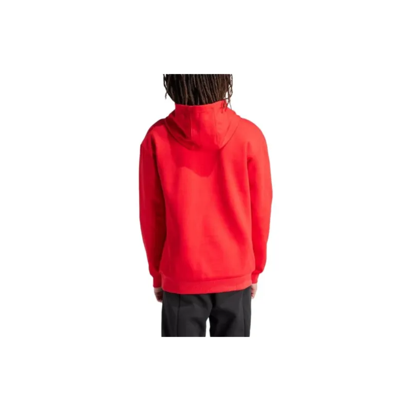 Adidas Future Icons Badge Of Sport Hoodie-2